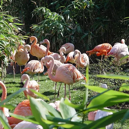 דירה Moderne Naehe Vw - Conti *